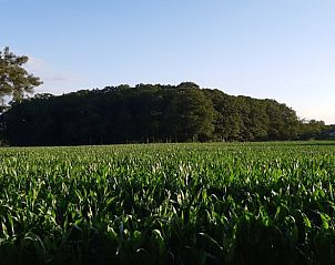 Unterkunft 530254 - Ferienhaus Salland - Huisje in Holten