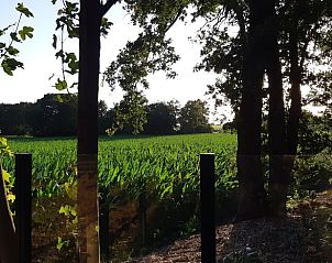 Unterkunft 530254 - Ferienhaus Salland - Huisje in Holten