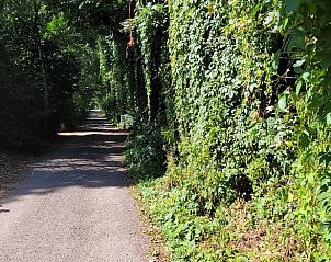 Verblijf 530258 - Vakantiewoning Salland - Vakantiehuis in Holten
