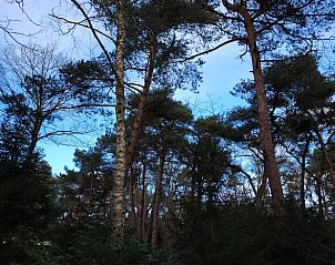 Verblijf 530258 - Vakantiewoning Salland - Vakantiehuis in Holten