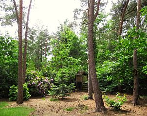 Verblijf 530258 - Vakantiewoning Salland - Vakantiehuis in Holten