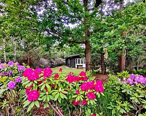 Unterkunft 530263 - Ferienhaus Salland - Vakantiehuis in Holten