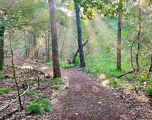 Unterkunft 530263 - Ferienhaus Salland - Vakantiehuis in Holten