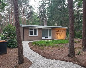 Eingang zum Ferienhaus in Holten, eingebettet zwischen den Bumen von Salland, Overijssel.