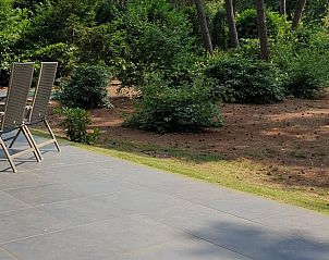 Ruhiger Garten des Ferienhauses in Holten, eine Oase in Salland, Overijssel.