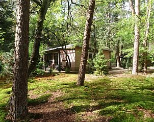 Unterkunft 530268 - Ferienhaus Salland - Vakantiehuis in Holten