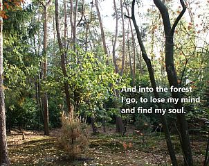 Unterkunft 530268 - Ferienhaus Salland - Vakantiehuis in Holten