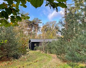 Vakantiehuis in Holten omgeven door groene natuur, ideaal voor rustzoekers in Salland, Overijssel.