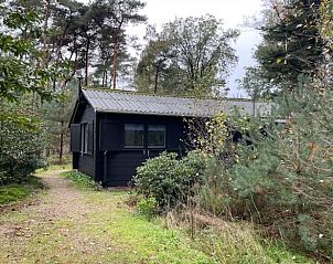 Zijaanzicht van Vakantiehuis in Holten, omgeven door bomen in het prachtige Salland, Overijssel.