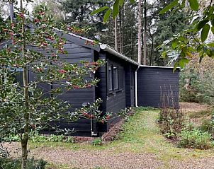 Vakantiehuis in Holten met groene omgeving, perfect voor natuurliefhebbers in Salland, Overijssel.