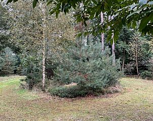Omgeving van Vakantiehuis in Holten met weelderige groene natuur in Salland, Overijssel.