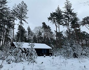 Plattegrond van Vakantiehuis in Holten, overzicht van de indeling in Salland, Overijssel.