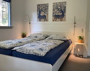 Eekhoorn in de tuin van Vakantiehuis in Holten, geniet van de dieren in Salland, Overijssel.