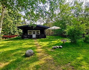 Geniet van de rust bij Huisje in Holten, een charmant vakantiehuis in het groene Salland, Overijssel, omgeven door natuur.
