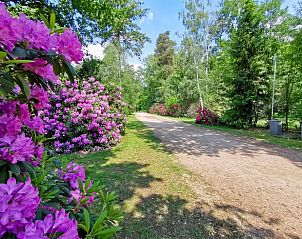 Verblijf 530281 - Vakantiewoning Salland - Huisje in Holten