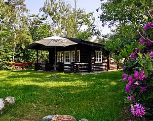 Unterkunft 530283 - Ferienhaus Salland - Vakantiehuisje in Holten