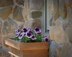 Unterkunft 530287 - Ferienhaus Salland - OV708