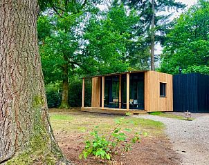 Unterkunft 530288 - Ferienhaus Salland - Huisje in Holten