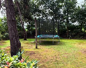 Unterkunft 530290 - Ferienhaus Salland - Vakantiehuisje in Holten