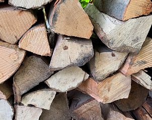 Unterkunft 530290 - Ferienhaus Salland - Vakantiehuisje in Holten