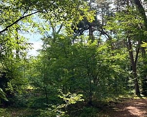 Unterkunft 530290 - Ferienhaus Salland - Vakantiehuisje in Holten