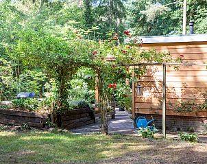 Unterkunft 530297 - Ferienhaus Salland - Vakantiehuis in Holten