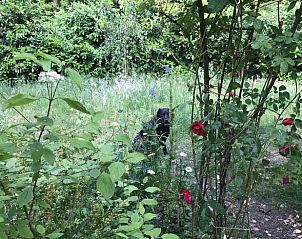 Unterkunft 530297 - Ferienhaus Salland - Vakantiehuis in Holten