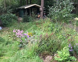 Unterkunft 530297 - Ferienhaus Salland - Vakantiehuis in Holten