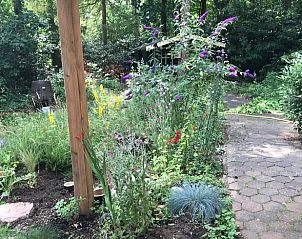 Unterkunft 530297 - Ferienhaus Salland - Vakantiehuis in Holten