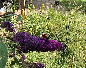 Unterkunft 530297 - Ferienhaus Salland - Vakantiehuis in Holten