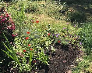 Unterkunft 530297 - Ferienhaus Salland - Vakantiehuis in Holten