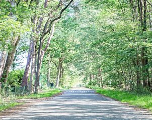 Unterkunft 530297 - Ferienhaus Salland - Vakantiehuis in Holten
