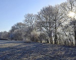 Prachtig winterlandschap rondom vakantiehuis in Wijhe, Overijssel, met besneeuwde bomen.