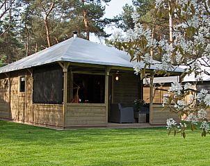 Guest house 531007 • Holiday property Salland • Kampeerlodge 