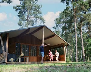 Unterkunft 531010 • Ferienhaus Salland • Safarilodge deluxe 