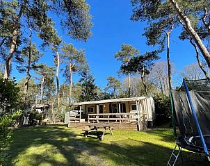 Verblijf 531016 - Chalet Salland - Huisje Sillie op 5* Krieghuusbelten
