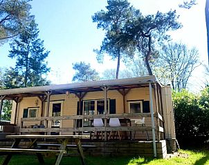 Verblijf 531016 - Chalet Salland - Huisje Sillie op 5* Krieghuusbelten