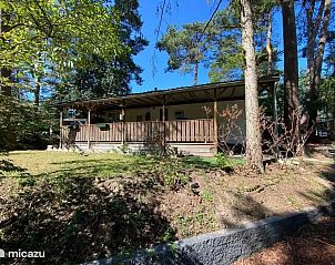 Verblijf 531019 - Chalet Salland - Chalet 39 De Eekhoorn