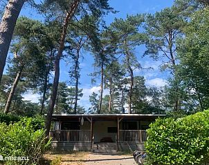Unterkunft 531021 - Chalet Salland - Huisje Veronica