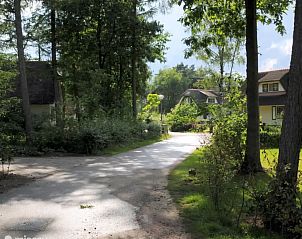 Guest house 531311 - Holiday property Salland - Wildeman