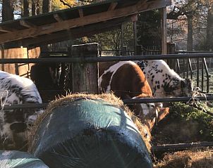 Guest house 531314 - Holiday property Salland - Vakantiehuisje in Heeten