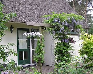 Guest house 531320 - Holiday property Salland - Bosvilla Elfie