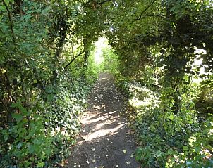 Unterkunft 531706 - Ferienhaus Salland - Vakantiehuis in Olst