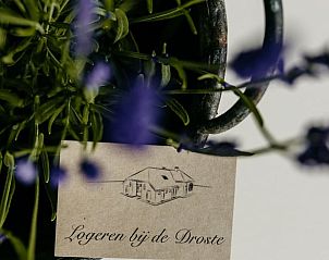 Welkom bij Vakantiehuisje in Olst in Salland, Overijssel met uitnodigend bord.