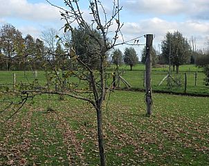Unterkunft 531711 - Ferienhaus Salland - Huisje in Olst