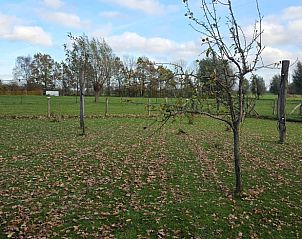 Unterkunft 531711 - Ferienhaus Salland - Huisje in Olst