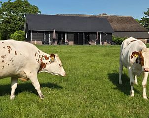 Unterkunft 531722 - Ferienhaus Salland - Huisje in Olst