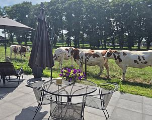 Unterkunft 531722 - Ferienhaus Salland - Huisje in Olst