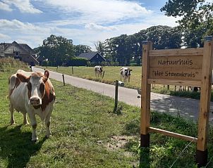 Unterkunft 531722 - Ferienhaus Salland - Huisje in Olst