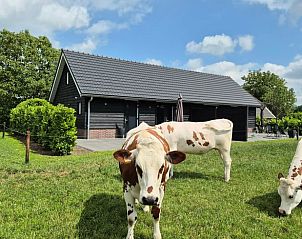 Guest house 531723 • Holiday property Salland • Huisje in Olst 